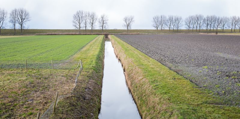 Ditch And Trench