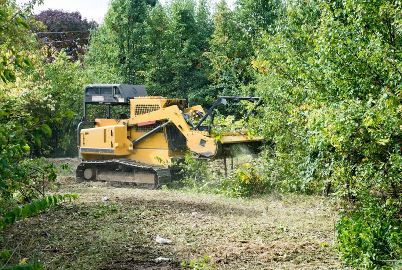 Thicket Clearing in Atlanta, GA